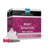 EXCEPTIONAL  Berry Sensation Tea 20 Pyramid Tea Bags INN