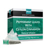 EXCEPTIONAL  Peppermint Leaves with Ceylon Cinnamon 20 Pyramid Tea Bags INN